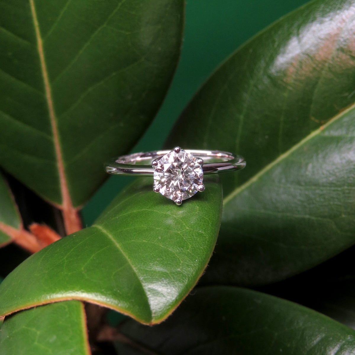 Finishing round cut 1.00ct lab grown diamond solitaire ring made with 18k white gold
