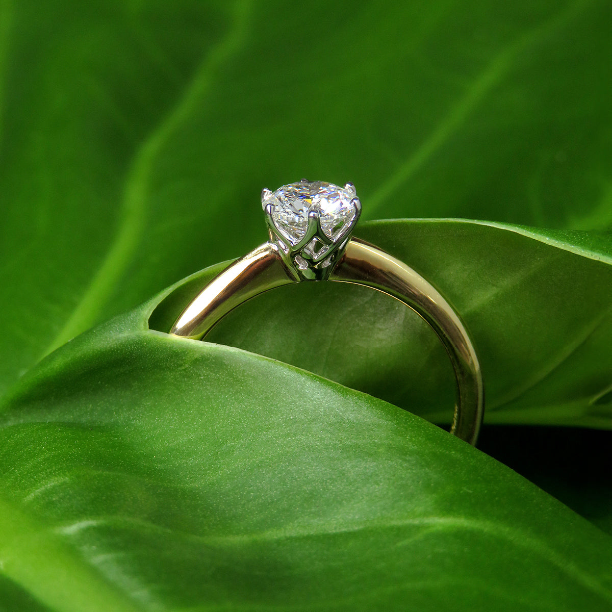 Stunning 0.75ct lab grown diamond solitaire ring by greenhouse diamonds