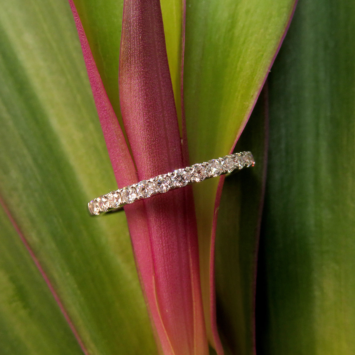 0.38ct laboratory grown diamond Wedder by greenhouse diamonds