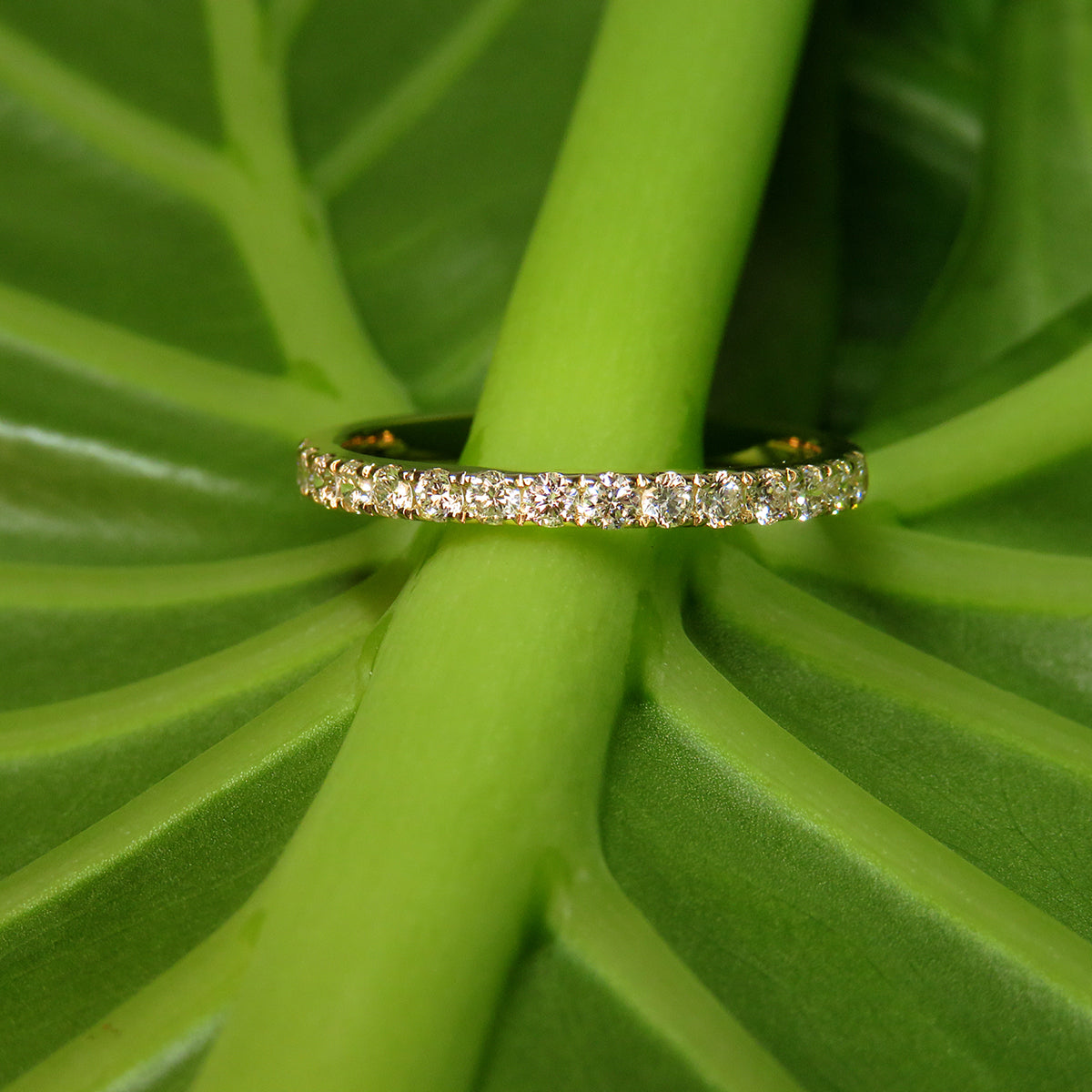 0.38ct laboratory grown diamond Wedder by greenhouse diamonds