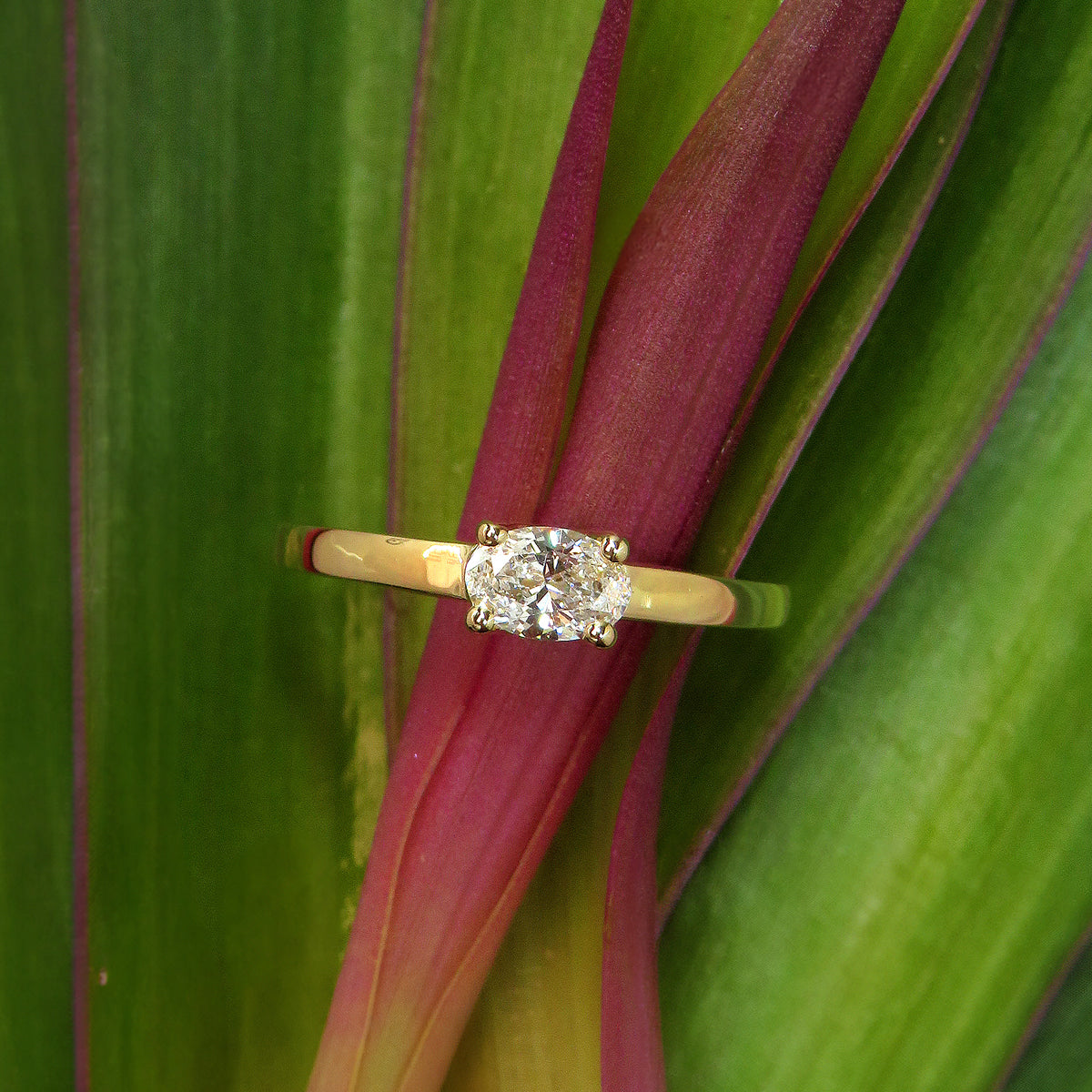 0.38ct laboratory grown diamond Solitaire ring by greenhouse diamonds