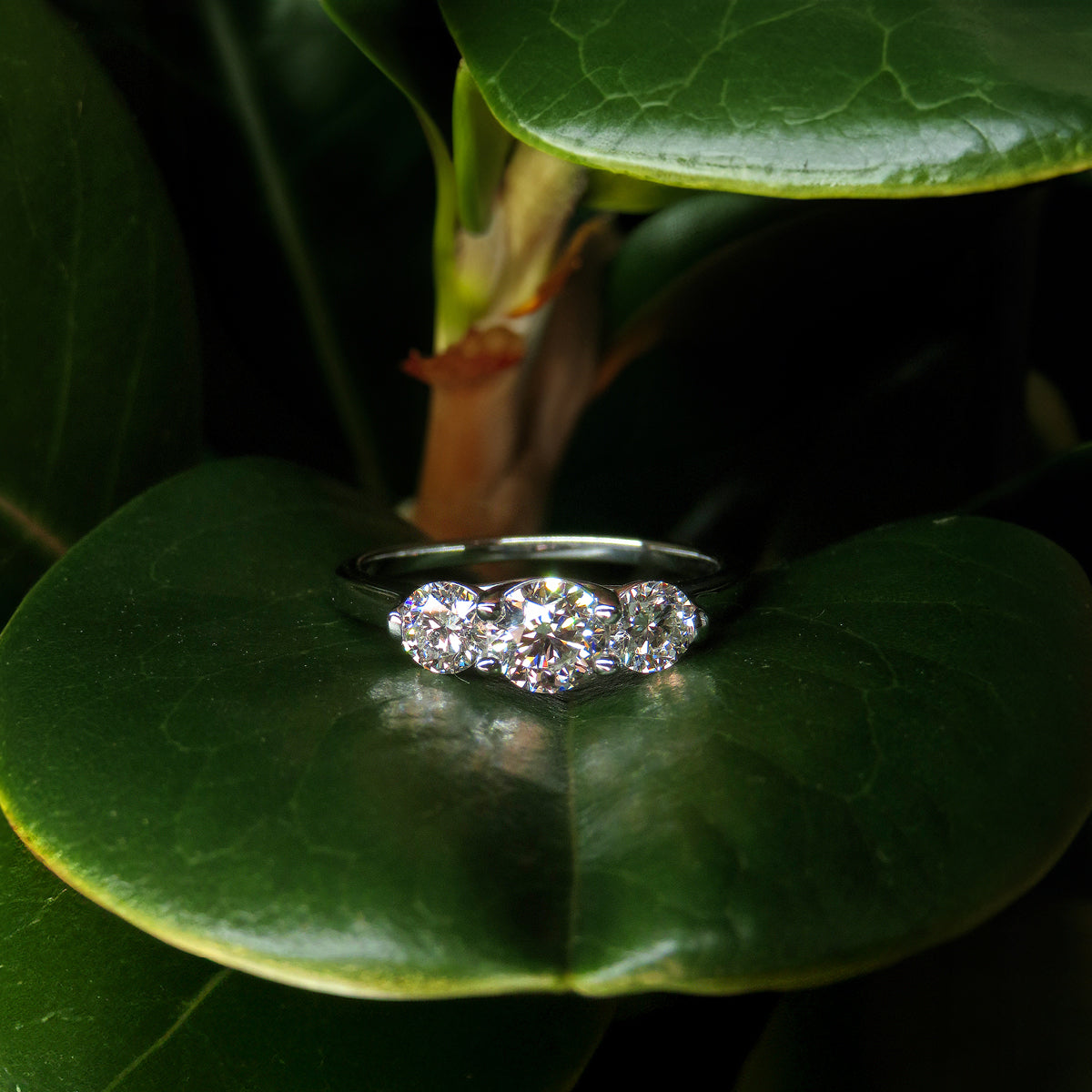 1.03ct laboratory grown diamond trilogy ring by greenhouse diamonds