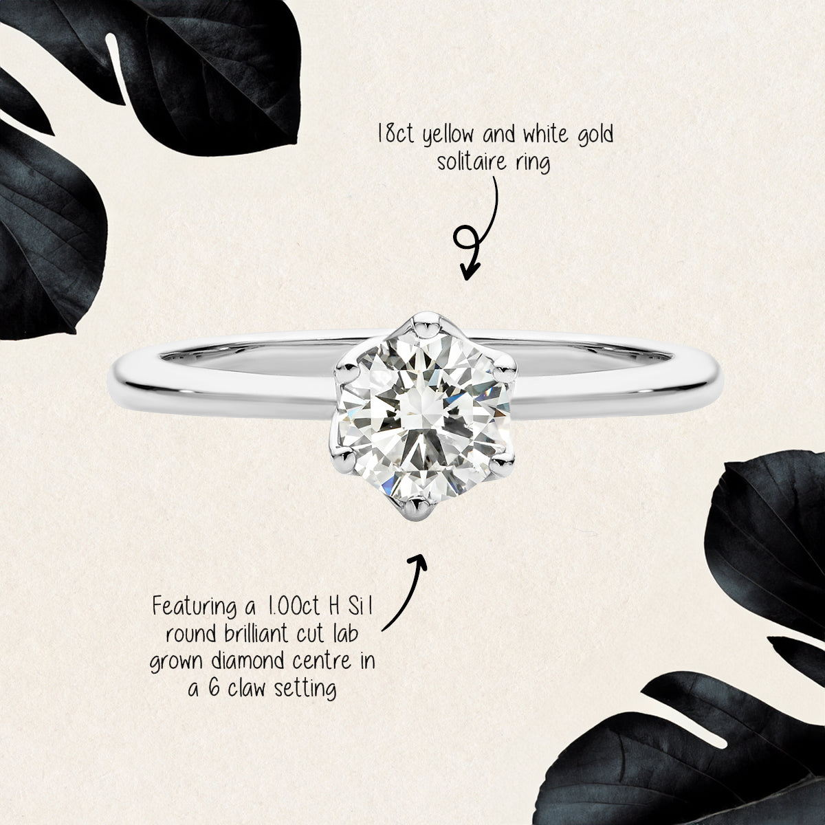 Featuring 1.00ct H SI round brilliant cut lab grown diamond solitaire ring by greenhouse diamonds