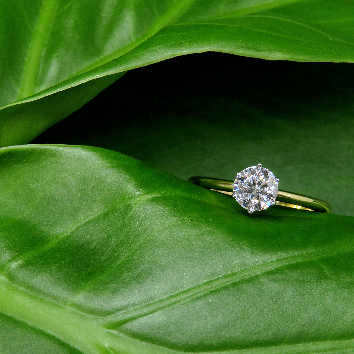 Stunning 0.70ct lab grown diamond solitaire ring by greenhouse diamonds