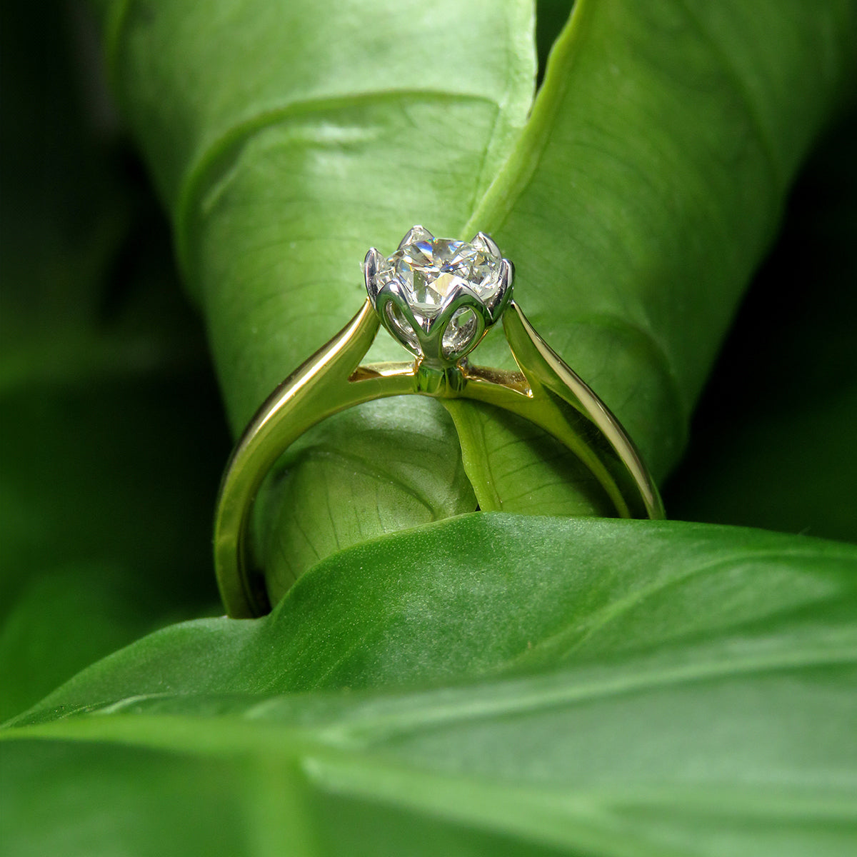 0.73ct laboratory grown diamond solitaire ring by greenhouse diamonds