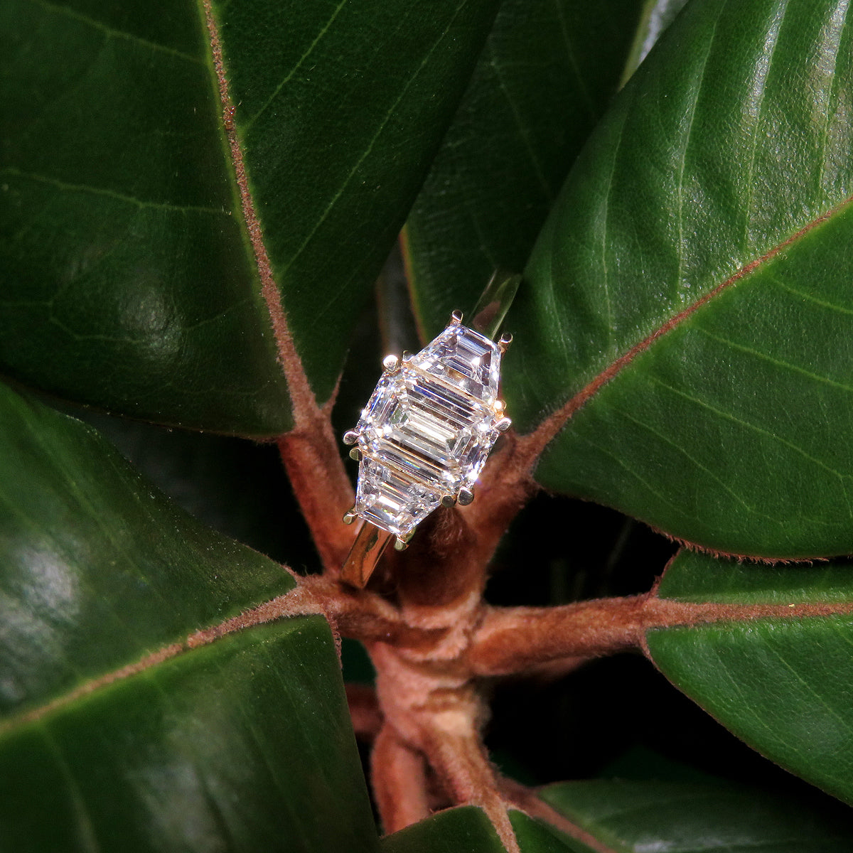 1.53ct laboratory grown diamond trilogy ring by greenhouse diamonds